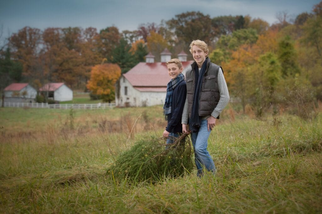 Boy in field with lighted christmas tree at dusk, Leesburg Holiday mini session