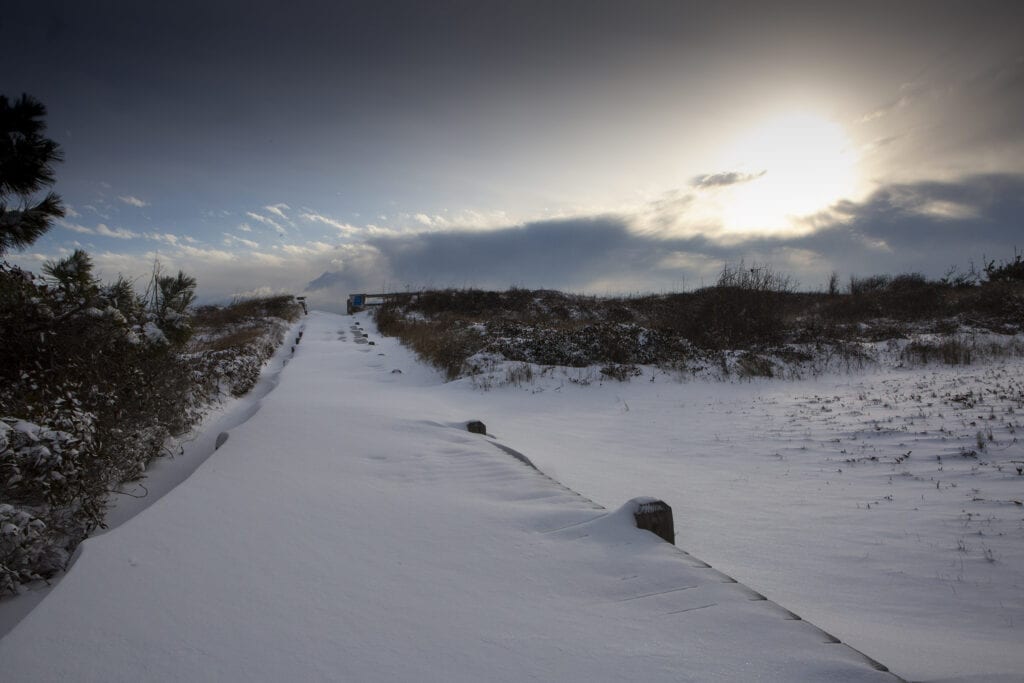 Snow covered beach walk way Duck NC