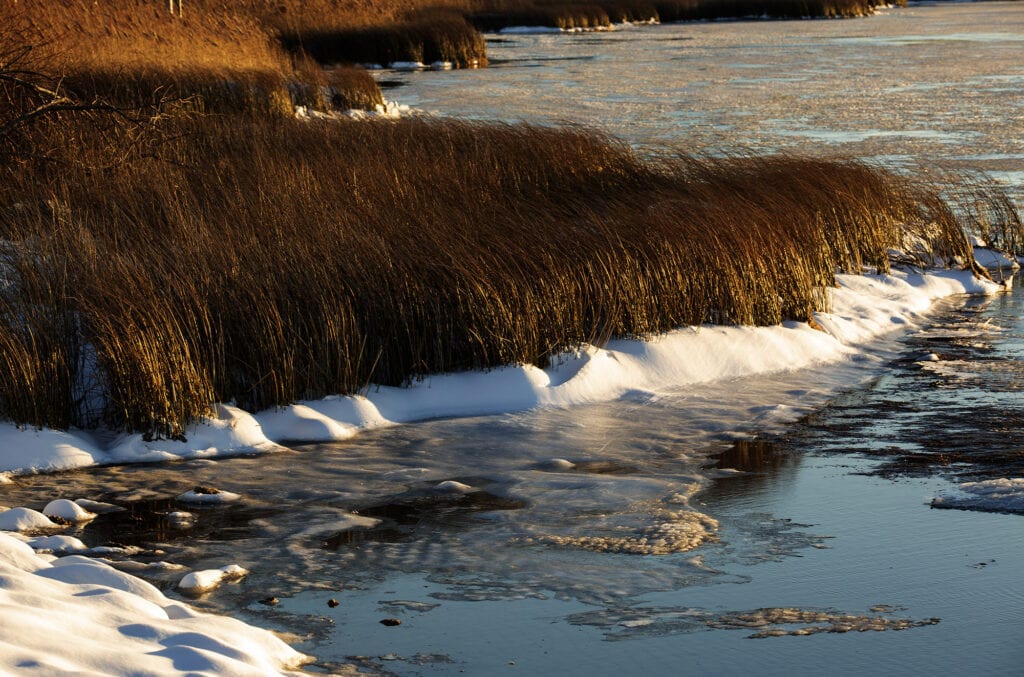 Frozen Albemarle sound NC