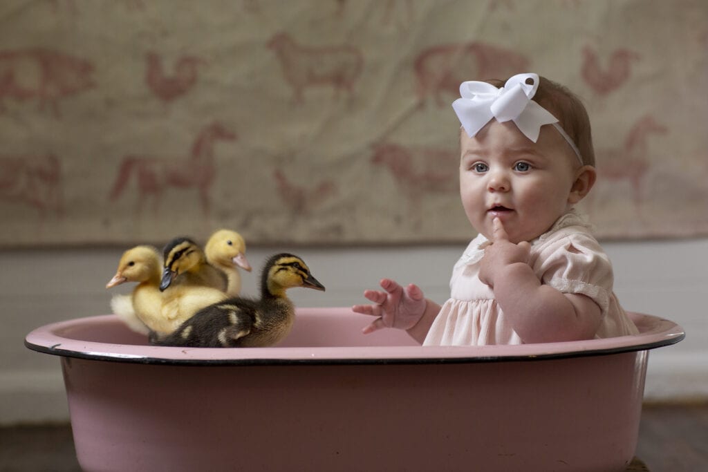 Baby girl with ducklings Loudoun County